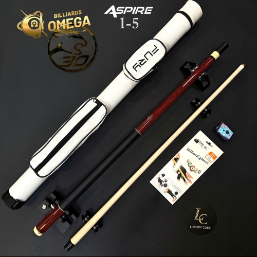 Gậy lỗ Predator Aspire 1-5 /Cơ bida Lỗ Chính Hãng Predator/ Ngọn Predator One/ Gỗ Zebra