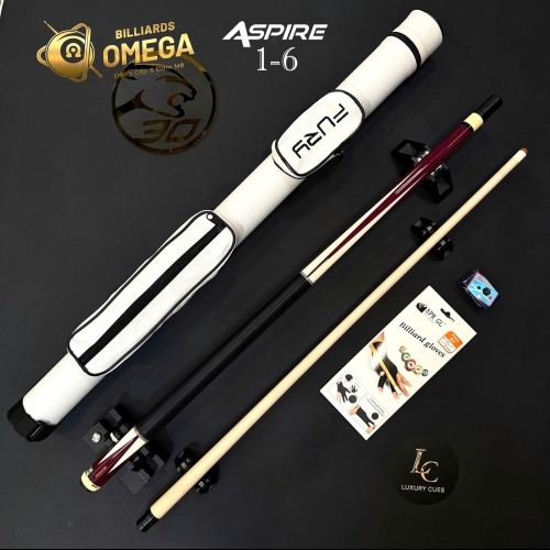 Gậy lỗ Predator Aspire 1-6 /Cơ bida Lỗ Chính Hãng Predator/ Ngọn Predator One/ Gỗ Purple Heart