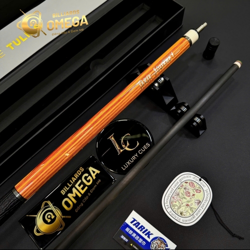 Gậy Bida Lỗ Tarik WE-H4 -Ngọn Full Carbon Cassadin Cao Cấp